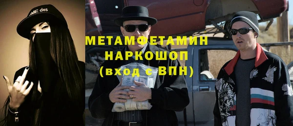 индика Богородицк