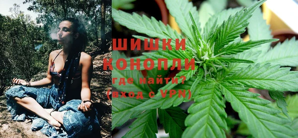 МДПВ Бронницы