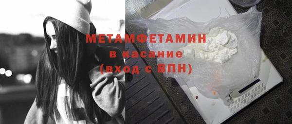 индика Богородицк
