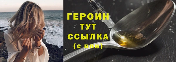 индика Богородицк
