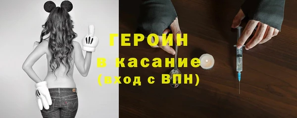 индика Богородицк