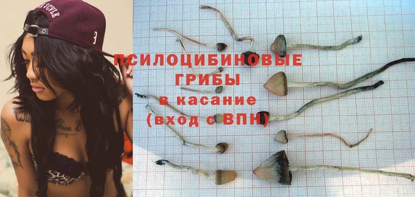 МДМА Богородск