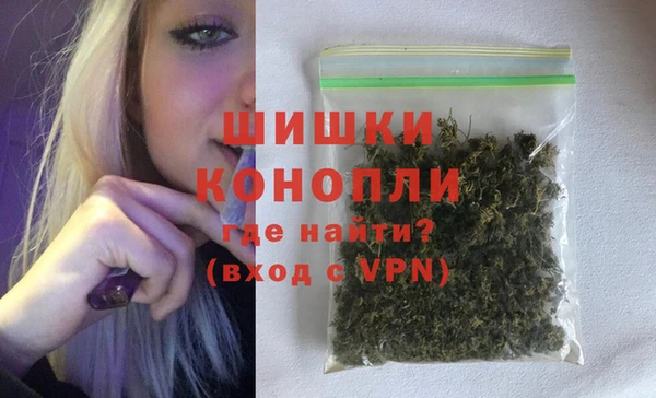 индика Богородицк