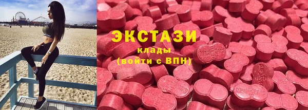 индика Богородицк