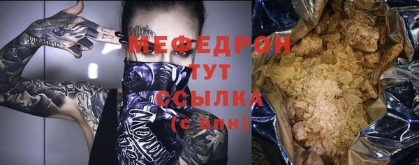 индика Богородицк