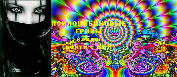 индика Богородицк