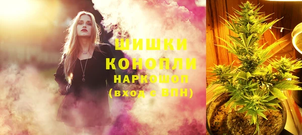 индика Богородицк