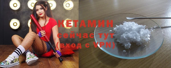 индика Богородицк