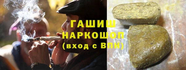 индика Богородицк