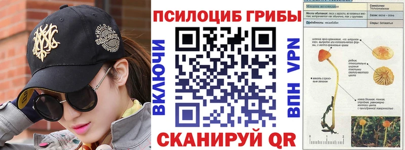 kraken сайт  Медынь  Галлюциногенные грибы ЛСД 